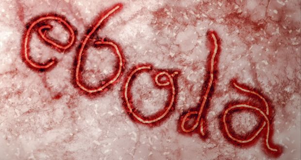 以毒攻毒：《瘟疫公司》募款對抗伊波拉