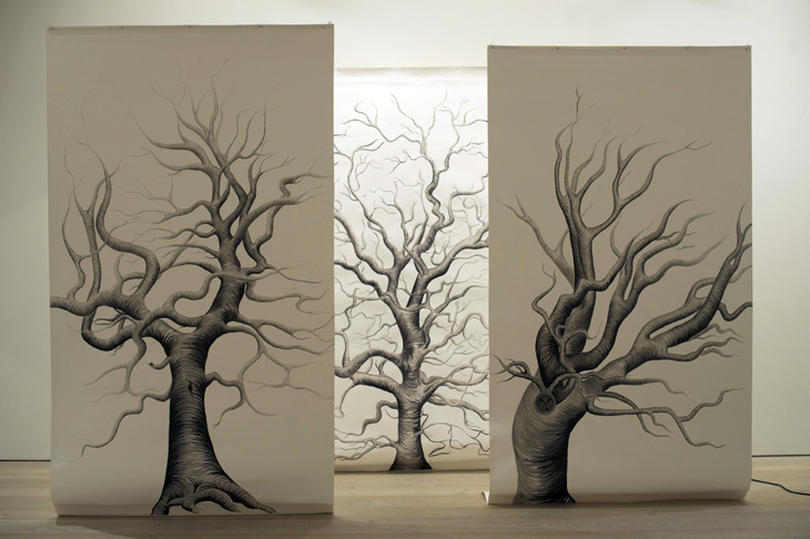20120221101341_julia_whiting_trees