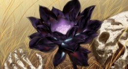 好一朵美麗的黑蓮花…380 萬的紙